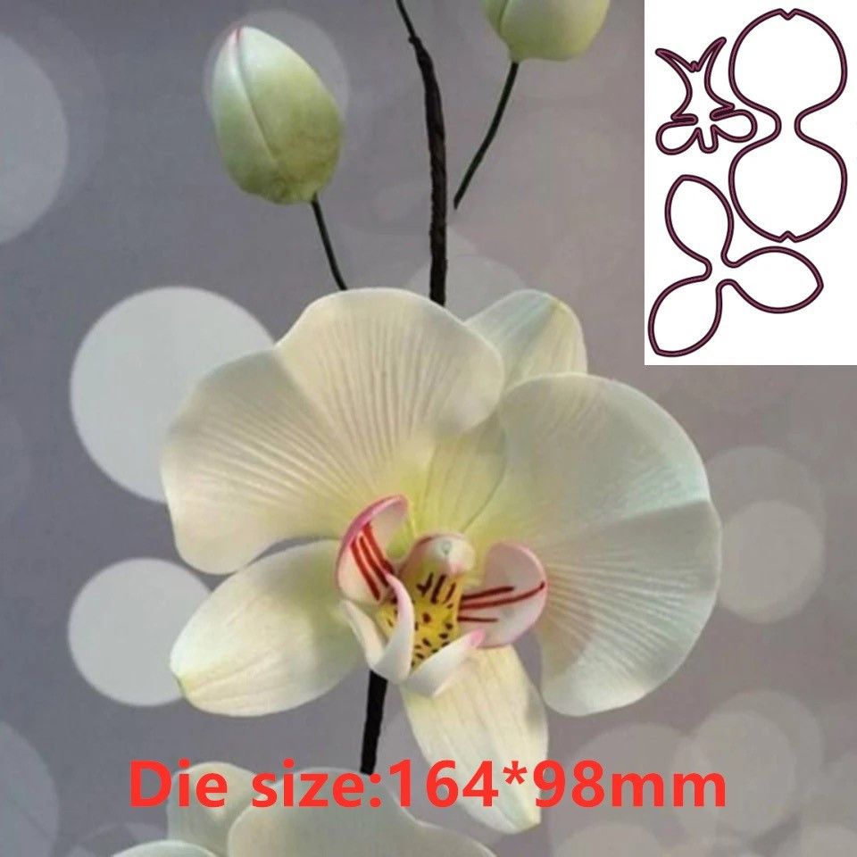 Orchid Phalaenopsis - 난초 꽃 금속 컷은 스크랩북 스탬프/사진