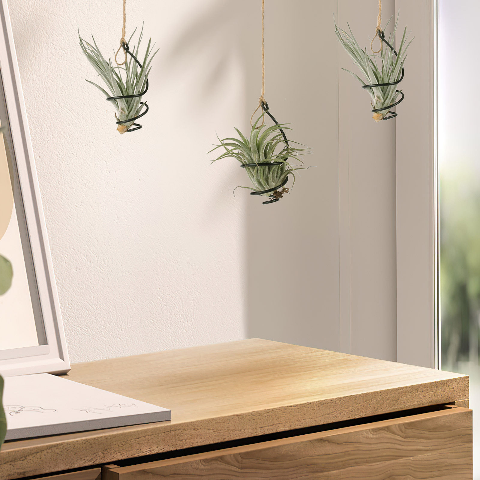 Air Plant Tillandsia - 30개입 금속 에어 플랜트 홀더, 나선형으로