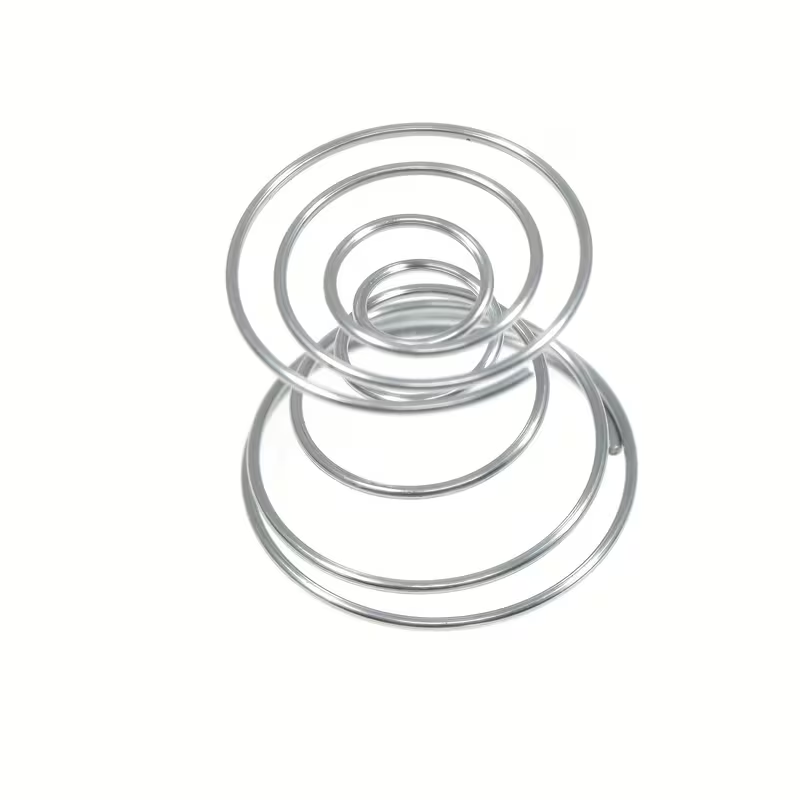 Air Plant Tillandsia - 미니 정원용 에어 플랜트 스프링 와이어