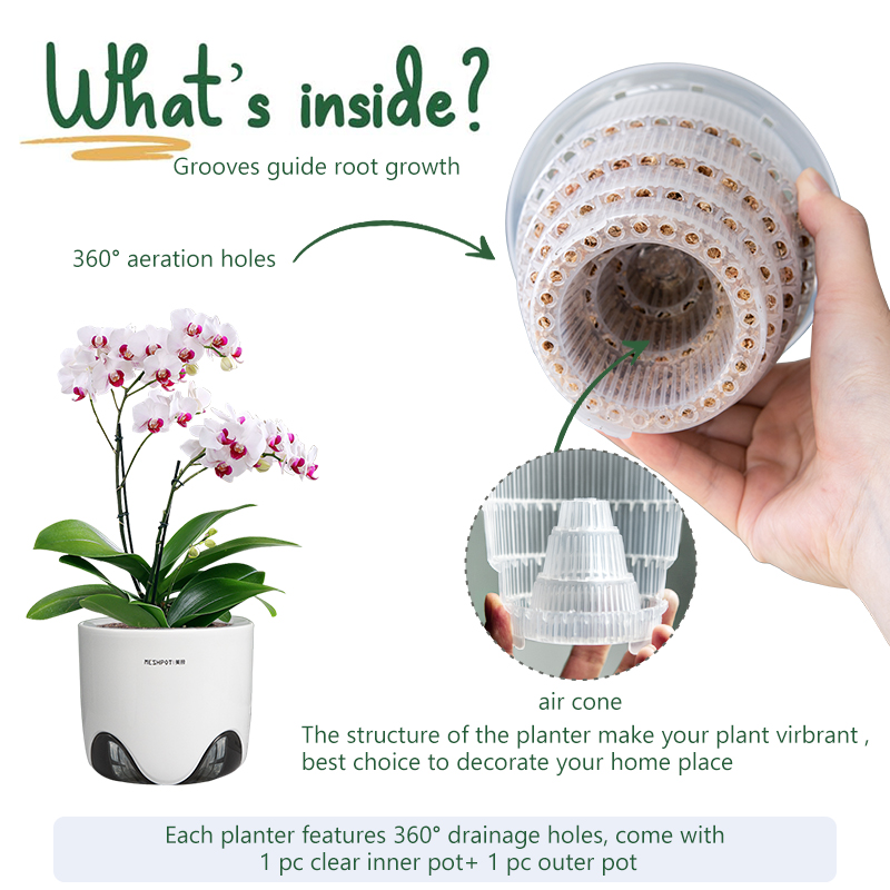 Orchid Phalaenopsis - 구멍이있는 Meshpot 난초 냄비 난초 호접란