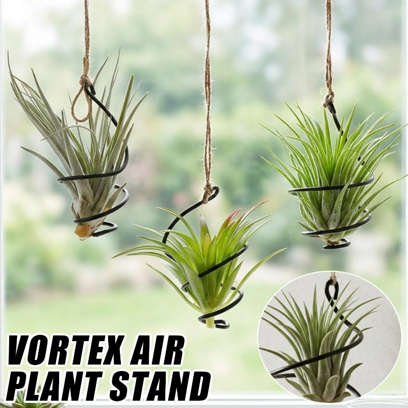 Air Plant Tillandsia - 독특한 황마 로프와 조절 가능한 녹