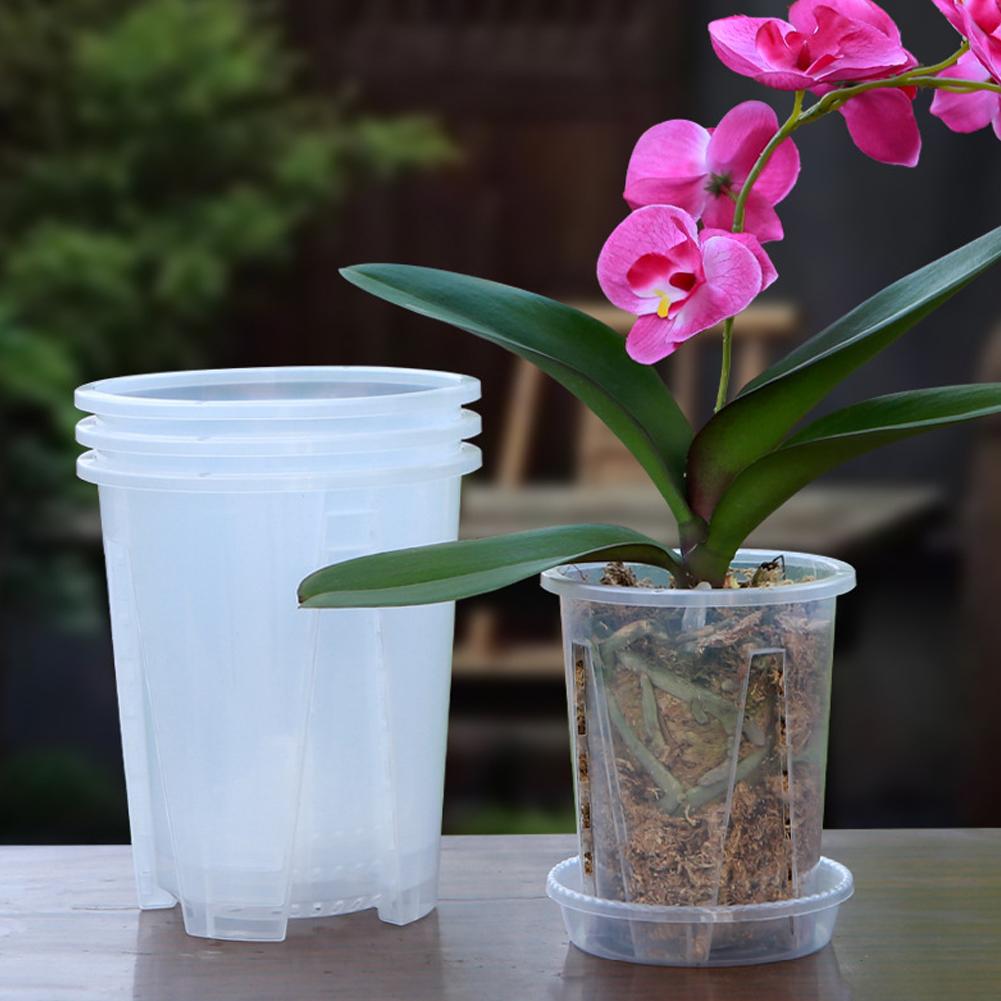 Orchid Phalaenopsis - 5개/키트 투명 플라스틱 난초 화분, 에어