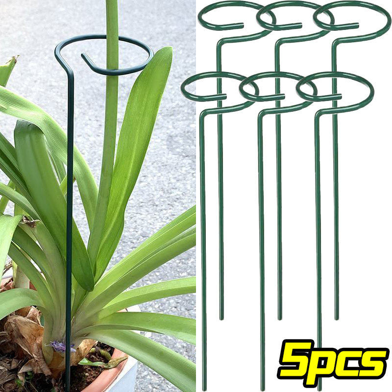 1/10pcs 정원 지원 스테이크 링 금속 단일 줄기  - Plant Parent Tools 리뷰 및 가격