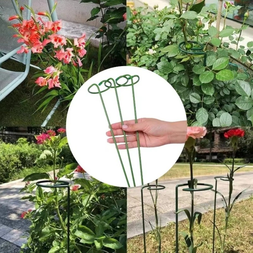 새로운 금속 지지대 프레임 낙하 방지 재사용 가능한 정 - Plant Parent Tools 리뷰 및 가격