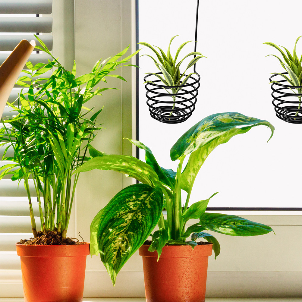 3개입 나선형 에어 플랜트 걸이, 금속 재질, 실내외  - Air Plant Tillandsia 리뷰 및 가격