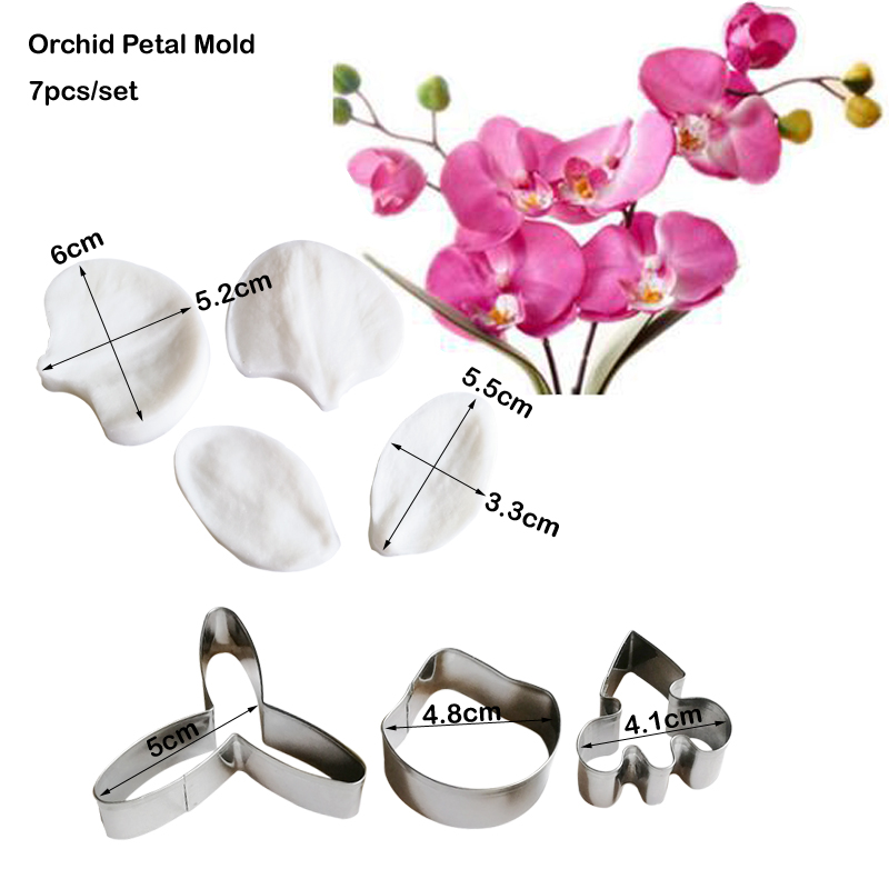 새로운 7PCS 난초 VEINER 실리콘 곰 퐁당 케이 - Orchid Phalaenopsis 리뷰 및 가격