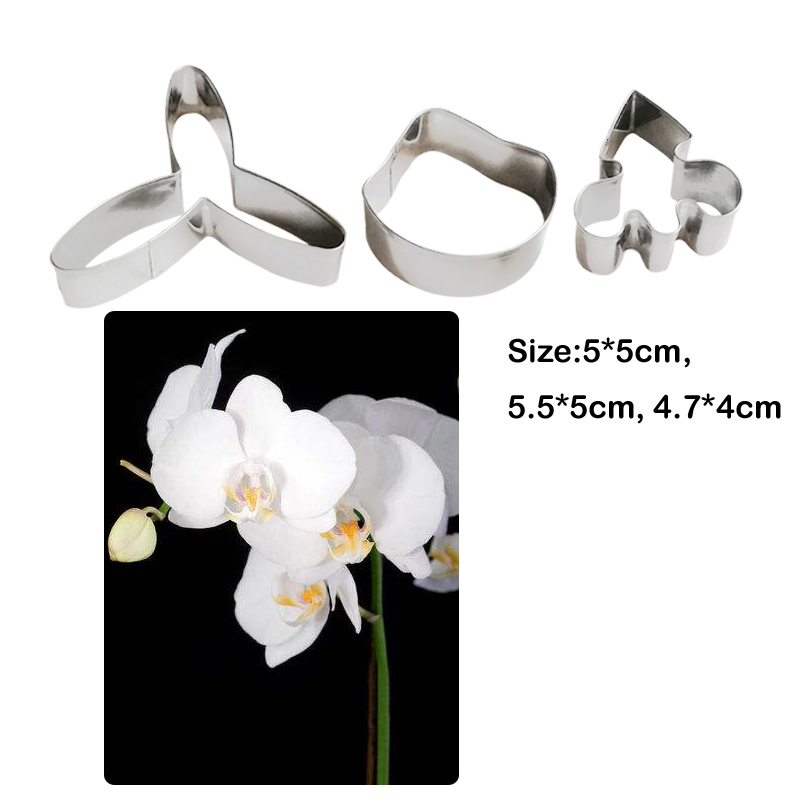 새로운 7PCS 난초 VEINER 실리콘 곰 퐁당 케이 - Orchid Phalaenopsis 리뷰 및 가격