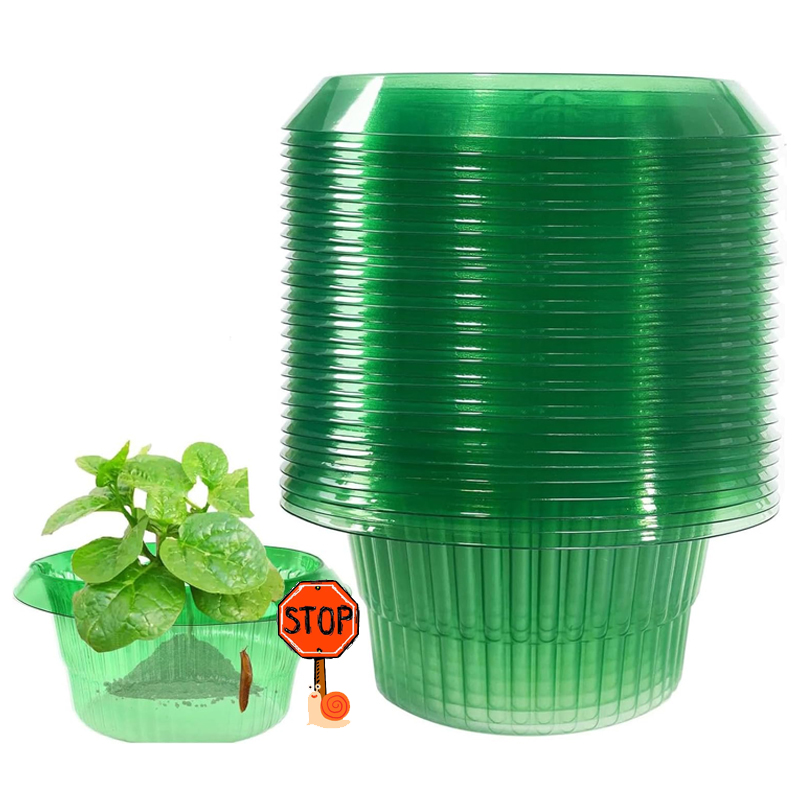 5-25Pcs 식물 슬러그 보호 반지 녹색 화분 꽃 냄 - Plant Parent Tools 리뷰 및 가격
