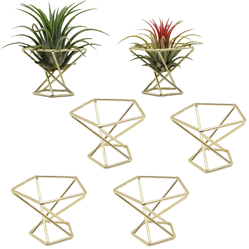 [추수감사절] 기하학적 디자인의 에어 플랜트 홀더, 에 - Air Plant Tillandsia 리뷰 및 가격