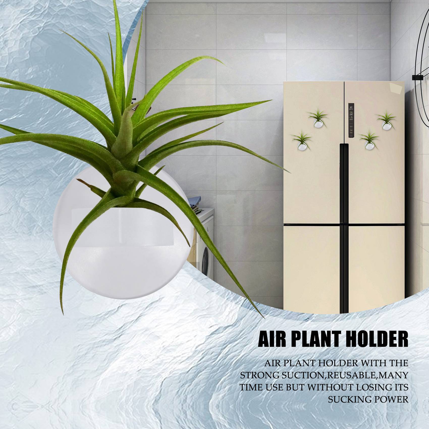 AC76-20개 에어 플랜트 홀더, 식물 화분 틸랜디아 - Air Plant Tillandsia 리뷰 및 가격