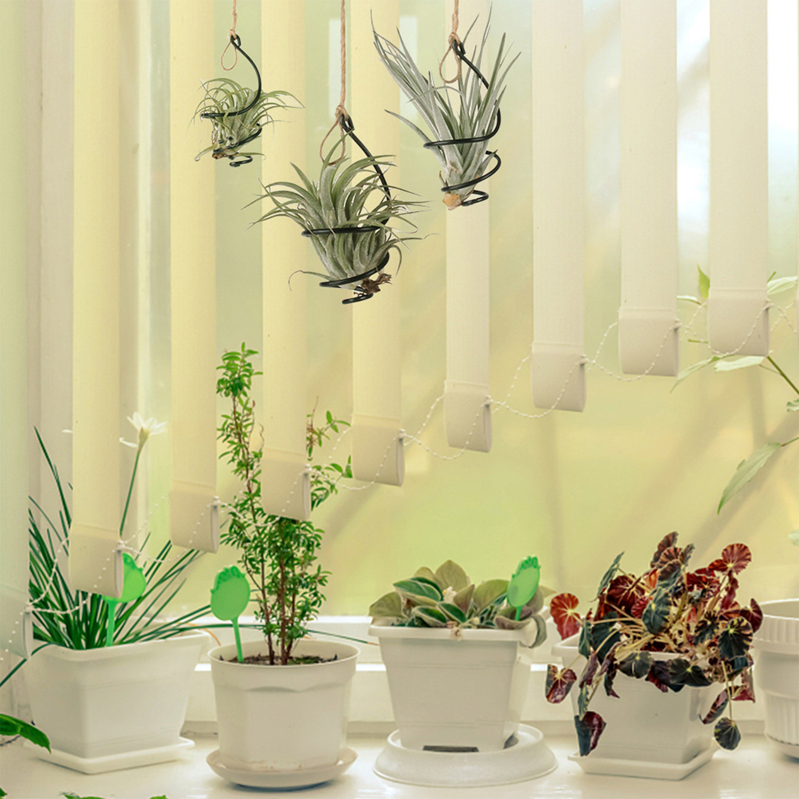 30개입 금속 에어 플랜트 홀더, 나선형으로 매달 수  - Air Plant Tillandsia 리뷰 및 가격
