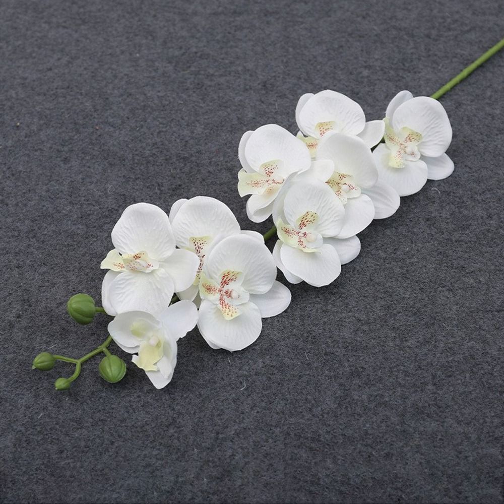 새로운 홈 서플라이 실크 플라워 리얼 터치 식물 3D  - Orchid Phalaenopsis 리뷰 및 가격