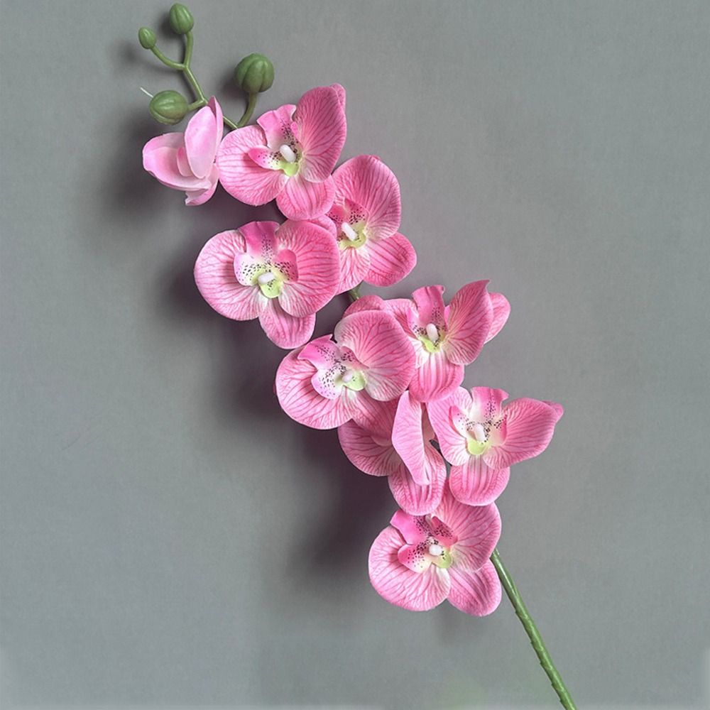 새로운 홈 서플라이 실크 플라워 리얼 터치 식물 3D  - Orchid Phalaenopsis 리뷰 및 가격