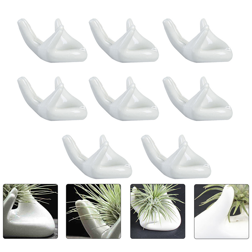 8개 세트, 도자기 재질의 오카리나 받침대, 베르가못  - Air Plant Tillandsia 리뷰 및 가격