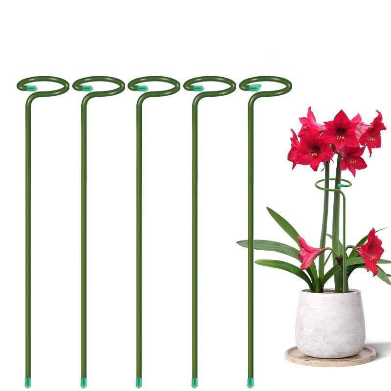 1-10pcs 금속 단일 줄기 식물 관목 홀더 정원 지 - Plant Parent Tools 리뷰 및 가격