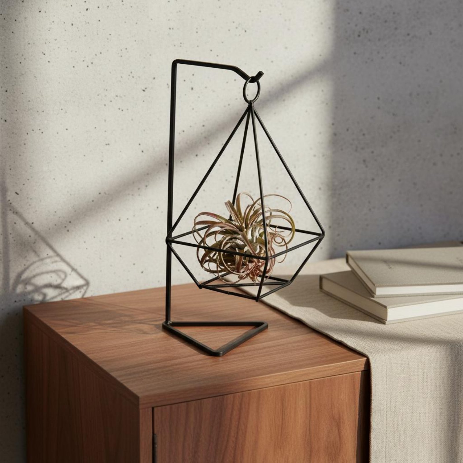 기하학적 에어 플랜트 홀더 미니멀리스트 디자인 에어 플 - Air Plant Tillandsia 리뷰 및 가격