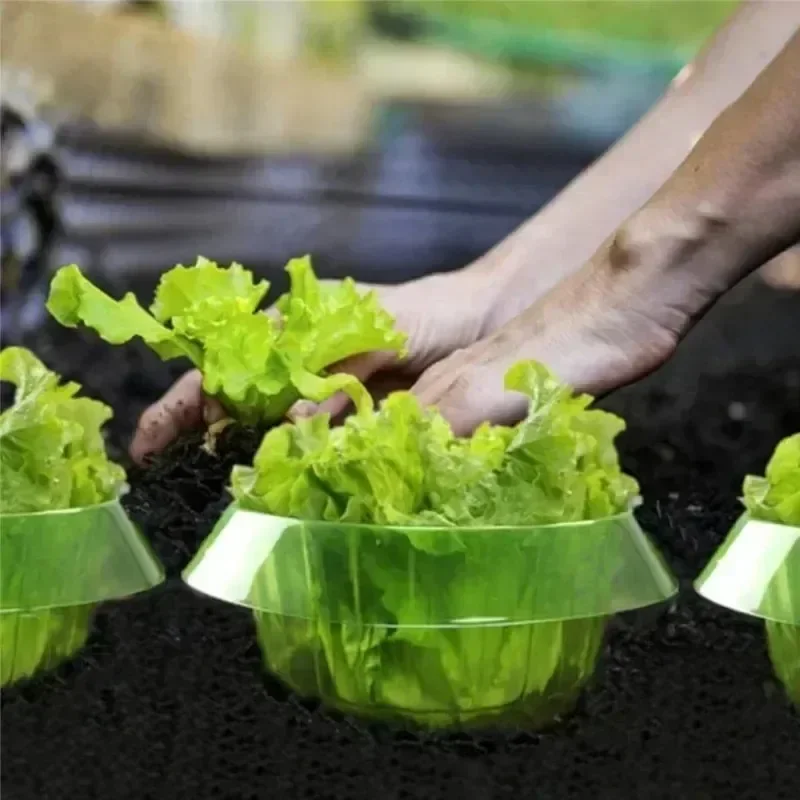 식물 달팽이 보호 링 야채 커버 식물 달팽이 칼라 가드 - Plant Parent Tools 리뷰 및 가격