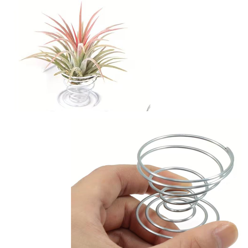 1/10개 금속 스프링 스탠드 세트, 정원 틸란드시아  - Air Plant Tillandsia 리뷰 및 가격