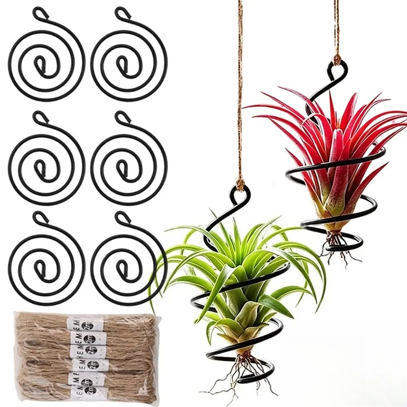 독특한 황마 로프와 조절 가능한 녹 방지 철제 링이 있 - Air Plant Tillandsia 리뷰 및 가격